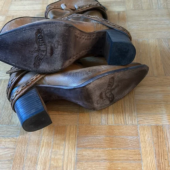 Freebird - Picture 16 of 16